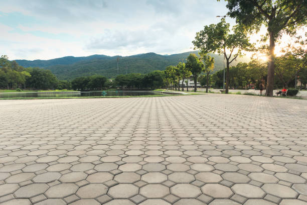 Best Residential Paver Driveway  in Pearland, TX